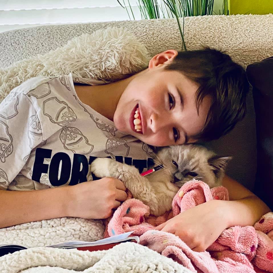 /images/Galeria/Cicák-gyerekek (Cats&Chirldren)/102967210_1148762845491408_3662124373644689643_n.jpg